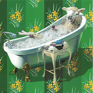Sheep Dip