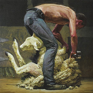Sheepshearer