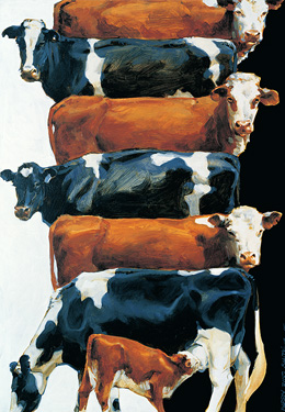 Side of Beef