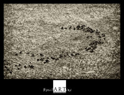 Colour and Brightness