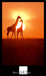 East African sunset