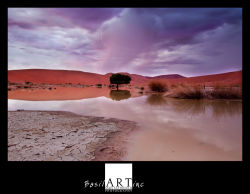Hidden Vlei Lightning Bolt