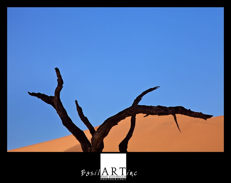 In the arms of a dune