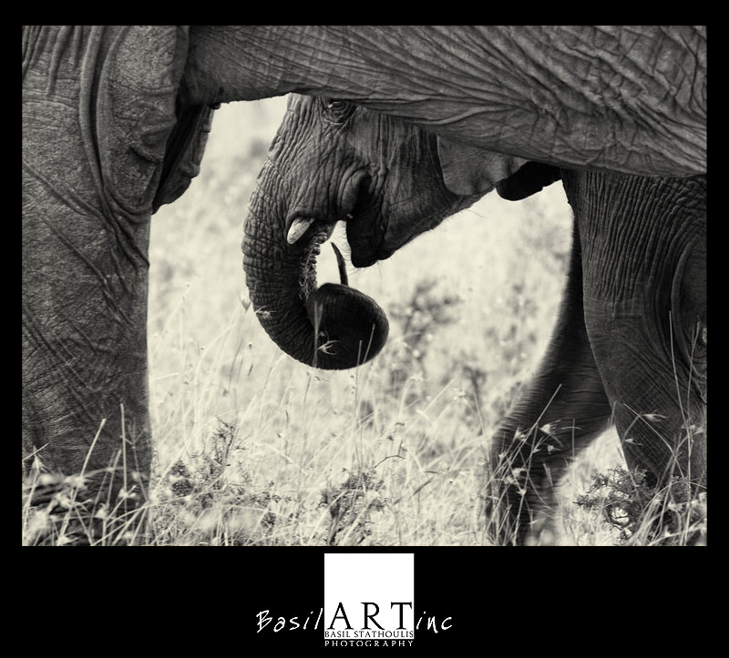 Mother framing baby