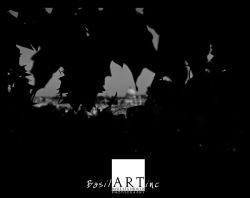 St Peter's through the leaves