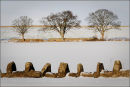 'Cold Snap'