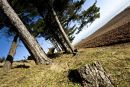 Land and Sea - Lunan