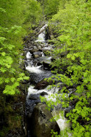 Bachnagairn Burn