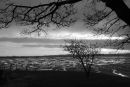 Outlook