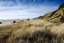 St Cyrus Beach
