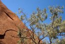 Uluru