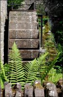 Wheel & Fern - Mill of Benholm