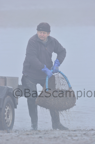 Cyril the Brancaster Mussel fisherman