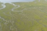 Aerial view of Scolt Head Island
