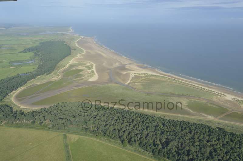 Holkham Bay and Pinewoods