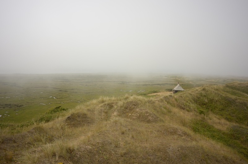 Fog at the Hut