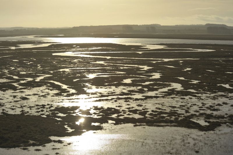 Hut Marsh Tide rising