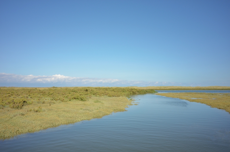 Scolt Head creek
