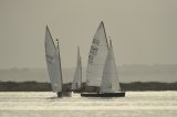 Sharpie racing in Brancaster Harbour