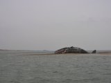 Dead Sperm Whale washed up on Scolt Head Island North Norfolk Feb 2006
