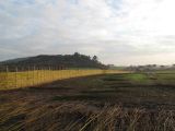 Woven willow fencing by Burnham willow