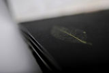 cabin:codex exhibition