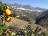 Art / Walking Holiday: 13th - 20th October, 2018