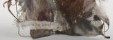 Essay Published in Granta Online