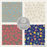 Padat Collection