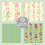 Padat Collection