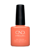 CND Shellac Spear €23.10