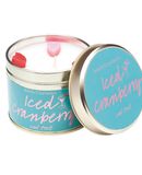 Iced Cranberry Tinned Candle €10