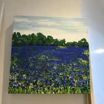 Cornflower field