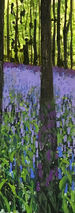Bluebell shadows