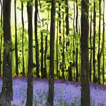 Bluebell shadows