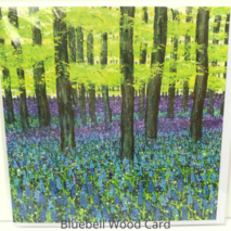 Bluebell Wood card