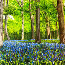 Kingswood Bluebells, Warlingham Kingswood Bluebells