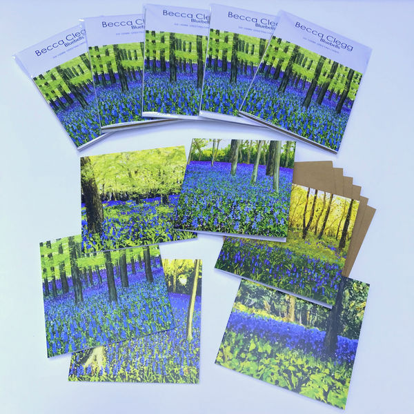 bluebells woodland spring Becca Clegg painting chantry wood Guildford Surrey