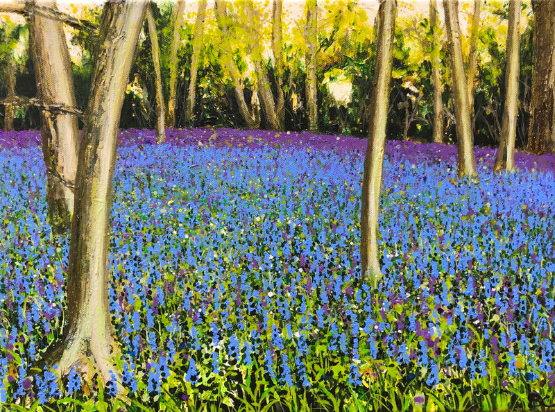 bluebells woodland spring Becca Clegg painting chantry wood Guildford Surrey