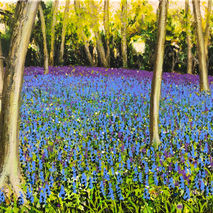 Over The Brow, Chantry Woods Guildford bluebells woodland spring Becca Clegg painting chantry wood Guildford Surrey