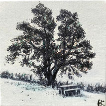 A Sprinkling of Snow: Leith Hill Tree Leith Hill