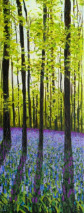 Bluebell Shadows Print Bluebells