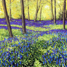 Dappled Light: Frank's Wood, Leith Hill