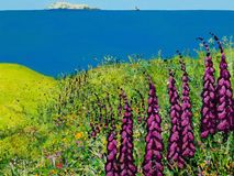 Foxgloves Near Whitesands Beach, Pembrokeshire card Foxgloves Near Whitesands Beach, Pembrokeshire