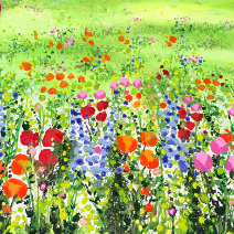 Frimley Meadow Flowers Green Meadow Flowers Becca Clegg