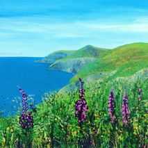 Pembrokeshire Coast