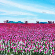Pink Tulips: Blue Mountains Pink Tulips Blue Mountains