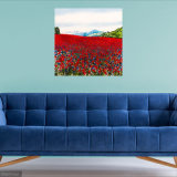 Red Poppies and Cornflowers Originla acrylic painting 70cm square Becca Clegg Red Poppies and Cornflowers Originla acrylic painting 70cm square