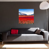 Becca Clegg Stripy Tulip Field 70cm square