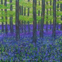 Bluebell Wood card